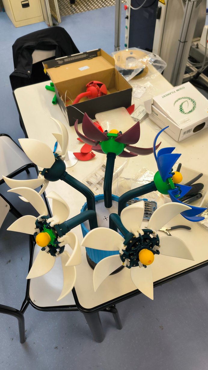Vue de dessus — 5 fleurs ouvertes en cours d&rsquo;assemblage